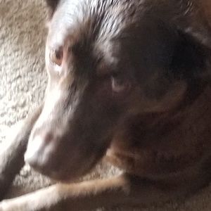 Meet your Posher, Kristy